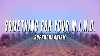 Download Superorganism - Something For Your M.I.N.D. (Lyrics) MP3