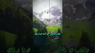 يامن بذوقك سكنت القلب واستقبلك  ثابت عوض دندنها
