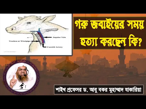 গরু জবাইয়ের সময় হত্যা করছেন কি? শাইখ প্রফেসর ড  আবু বকর মুহাম্মাদ যাকারিয়া