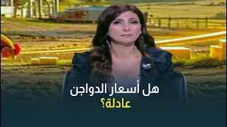 هل أسعار الدواجن الحالية عادلة؟ رئيس شعبة الدواجن بغرفة الجيزة التجارية يكشف سر ارتفاع الدواجن