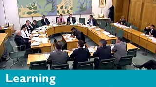 What are select committees and how do they work?