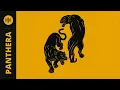 Panthera
