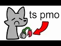 ts pmo