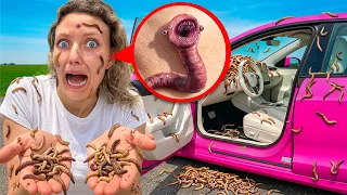 MY TESLA is INFESTED HELP