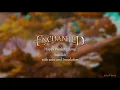 Download Lagu Enchanted - Happy Working Song「Swedish w/ subtitles \u0026 translation」