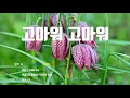 [은성 반주기] 고마워고마워 - 라디(RA.D)