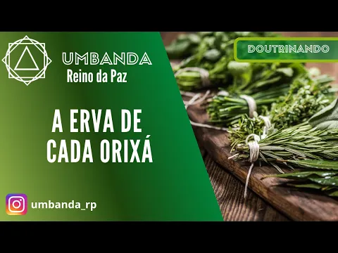 Download MP3 DOUTRINANDO - AS ERVAS DE CADA ORIXÁ