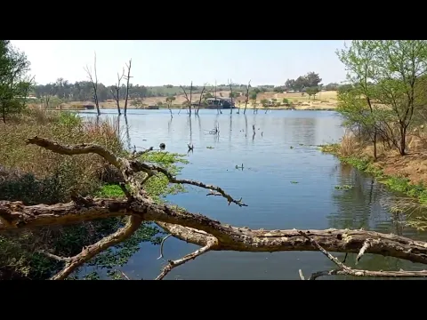 Download MP3 Hiking in Muldersdrift on nature trail at 26 Degrees South Hotel