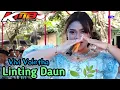 Download Lagu Linting Daun _ Vivi Voletha _ KMB Gedruk Sragen _ Live Grobogan Terbaru Oktober 2022 👍