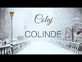 Download Lagu Colaj colinde | Volum 1