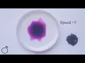 Dissolving and Diffusion of potassium manganate VII in solution IGCSE Chemistry