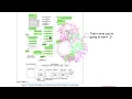 Interrupts - Interrupt Descriptors