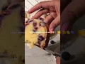 Download Lagu LEMON BLUEBERRY POUND CAKE! I'm still obsessed with this cake! make it before summer ends ✌🏽