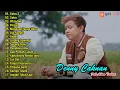 Download Lagu DENNY CAKNAN SATRU 2 FULL ALBUM TERBARU 2022 (Wong Sing Tak Tresnani Tak Gawe Sandaran Ati)