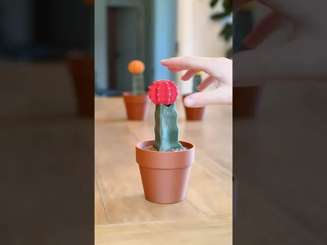 Phoney Cactus - The Moon Cactus Phone Stand video thumbnail