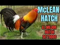 McLEAN HATCH THE ORIGIN AND HISTORY