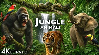 JUNGLE ANIMAL DISCOVERY / 60FPS 4K ULTRA HD #4K #ANIMALS