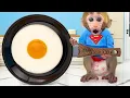 Download Lagu Monkey Baby Bon Bon cooking giant egg for breakfast and eats M\u0026M chocolate candy with the ducklings