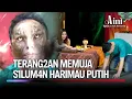 Lagu Gatau Apa Tujuannya, Rela Jadi Wadah S1lum4n | Aini Malaikat Tak Bersayap Ep 179 (FULL)