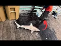 I Dropped My GoPro off SHARKY S Pier in Venice