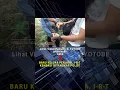 Download Lagu BARU KELUAR PENJARA, I R T KEMBALI DITANGKAP POLISI #ambarita #gbr #gerebek #jatanras #ojoloyo