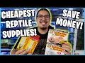 Best Place to Get Reptile Supplies