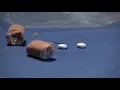 Hot dog pieces containing drugs found in Fair Oaks neighborhood