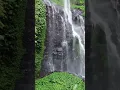 Download Lagu Sekumpul Waterfalls #theunseenworldofnature #nature #sekumpul  #indonesia #waterfalls