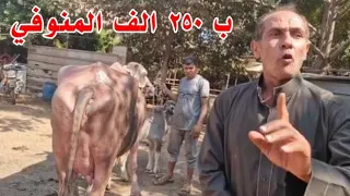 بدون مقدم حجز بس ب ٢٥٠ الف الف جنيه ومحدش يعلق غير لما يشوف سلالاتي النهارده 