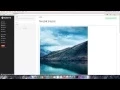 How to add custom scripts and code to your website
