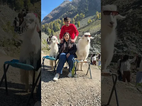 Day-6 #kashmir #minivlog #tour #shorts | mother and prince
