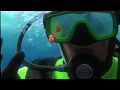 Nemo trapped away Finding Nemo