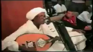 مصطفى سيد احمد شليل وين راح 