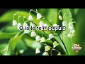 Download Lagu LILY OF THE VALLEY/LILI O LE VANU (Samoan/Eng Karaoke) 2019