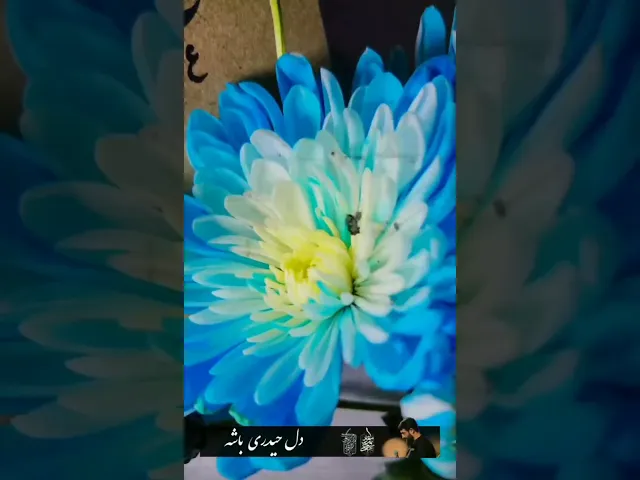 یاعلی ...| حاج ابوذر روحی