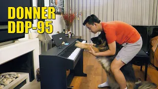 Even Your DOG Can Play This Piano! Review of Digital Piano Donner DDP-95 | Cole Lam