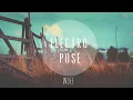 The Tallest Man On Earth - The Dreamer (SAMURAII Edit)