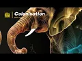 Download Lagu Colonisation by Madilu System English Translated Lyrics 