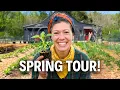 The Lazy Garden is BACK FULL Spring Garden Tour 2026