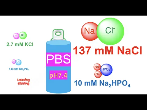 What Is PBS in Cell Culture? Uses, Washing & Recipe
