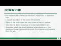 NUTRIENT UPTAKE