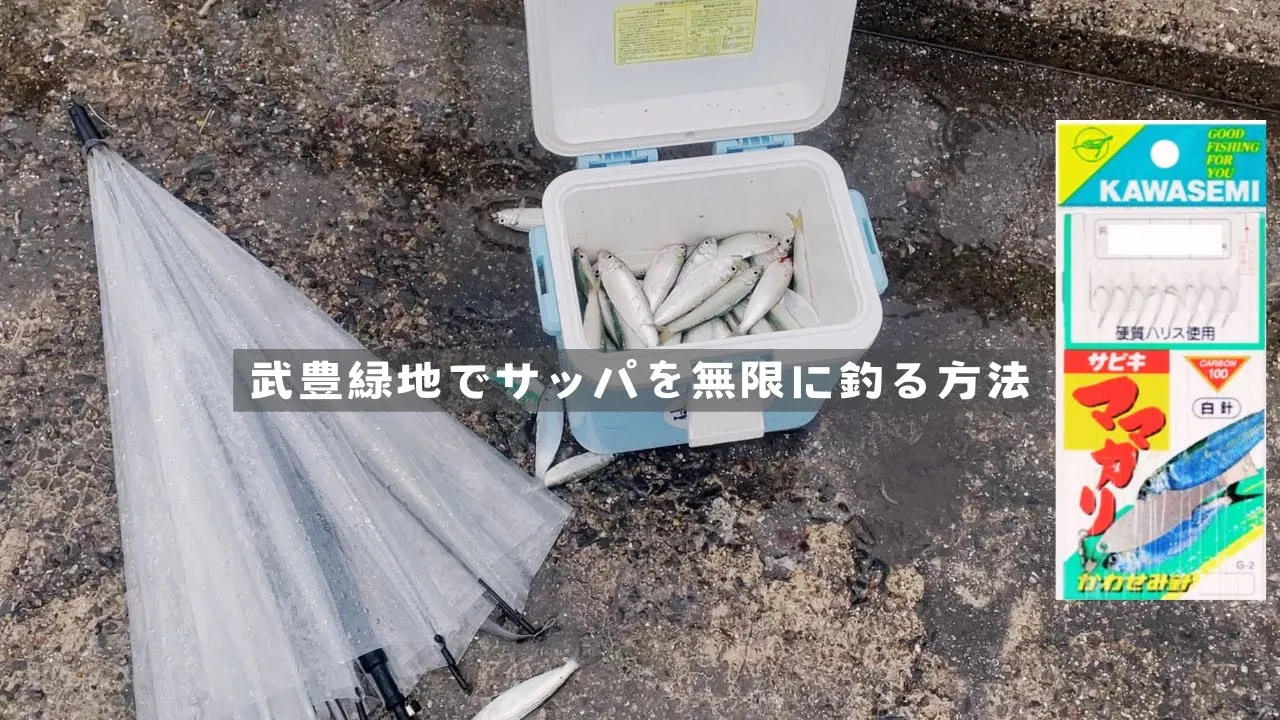［武豊緑地］90秒でわかるママカリ爆釣の仕掛け場所※武豊ファイザー前