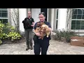 Woman Arrested for Illegally Breeding and Selling Dogs Collier County Sheriff s Office