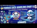 Master Pandas in 1 Hour Data Cleaning loc vs iloc Indexing Python Basics