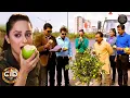 Download Lagu जब पूर्वी ने रास्ते में पेड़ से अमरूद तोड़कर सबको दिया | Best Of CID | New Episode 2025