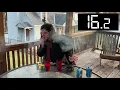 2 Rubiks Cubes 2 Cig 2 Beer SPEEDRUN FORMER WR 1 28 37