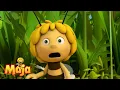 Download Lagu Rozpoczyna się polowanie na miód! - Pszczółka Maja🐝🍯🐝 - FULL COMPILATION