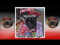 Download Lagu Wild Heart Cat Music Lyrics