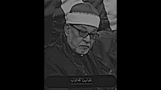 الشيخ سيد سعيد سورة يوسف    دندنها