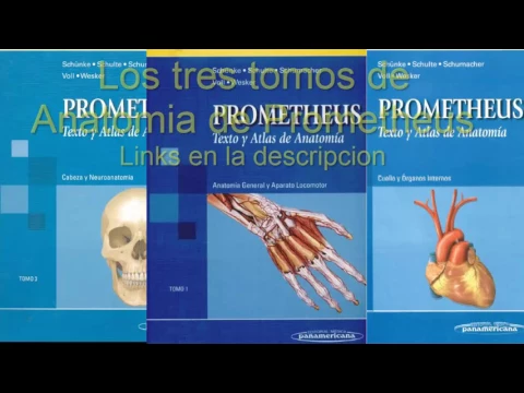 Download MP3 Descargar libros de texto y atlas de anatomia de Prometheus en PDF
